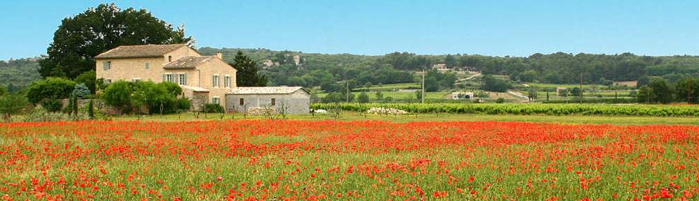 Paysage provençal