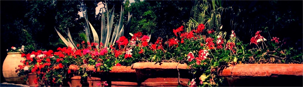 Costebelle, jardin de Paul Bourget