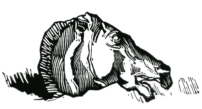 Illustration 19 de Renefer pour Athènes antique de Charles Maurras en 1927.